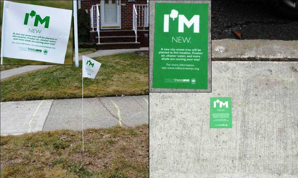 street-tree-planting-im-new